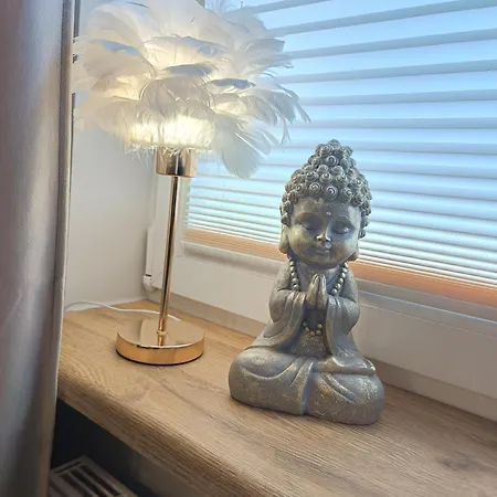 Aster Apartment *